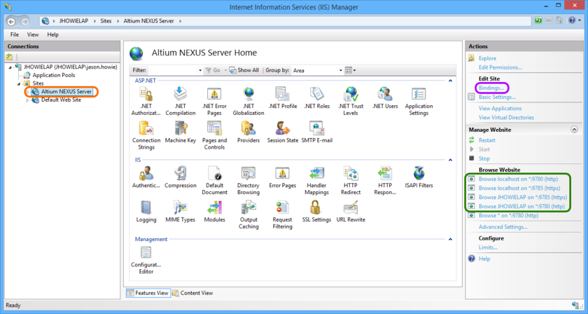 Access configuration and server binding settings for the Altium NEXUS Server.