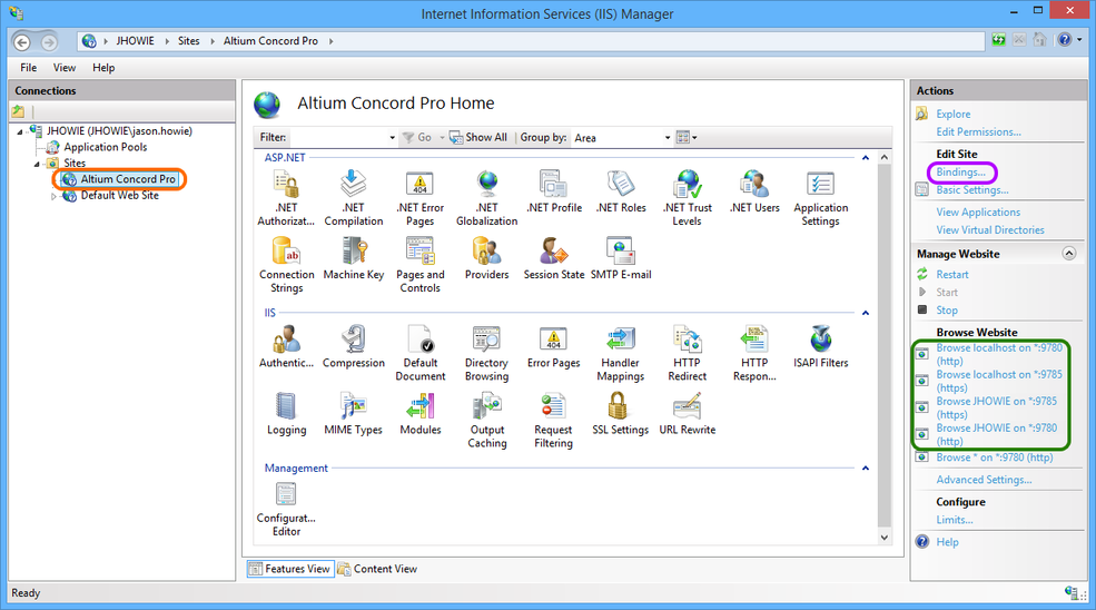 Access configuration and server binding settings for Altium Concord Pro.