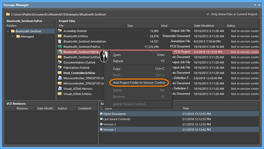 Storage Manager panel, adding the selected project to version control via the right-click menu
