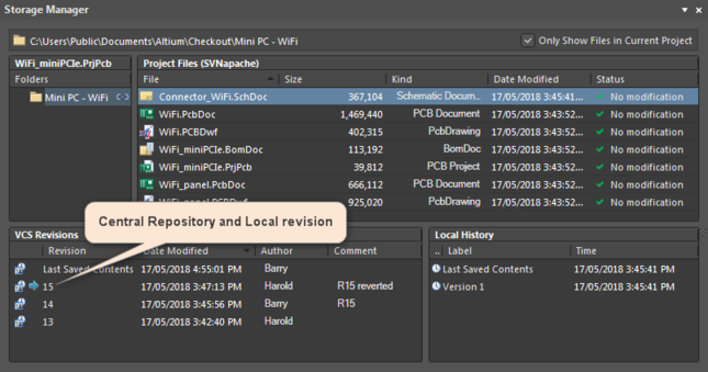 The Central Repository and Local revision in the Storage Manager